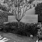 Woollahra Terrace