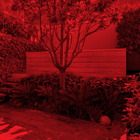 Woollahra Terrace
